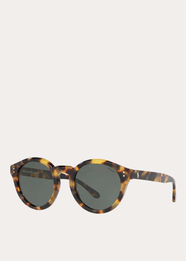 Women's Polo Ralph Lauren Heritage Sunglasses | 143765WER